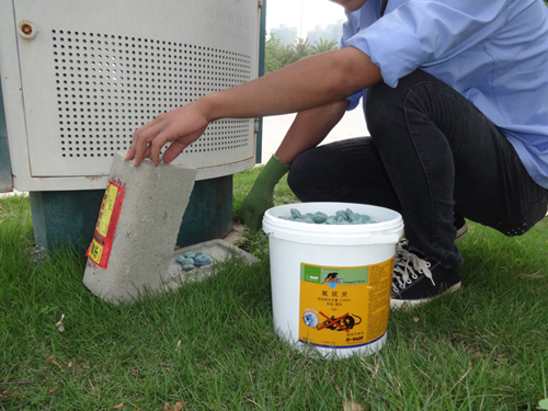 白蟻防治方法有哪些？